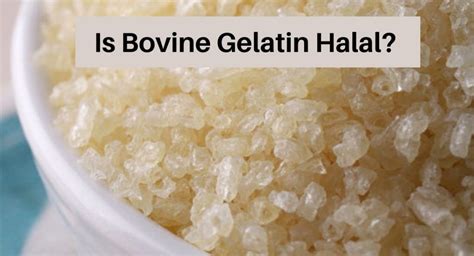 gelatin halal diet.